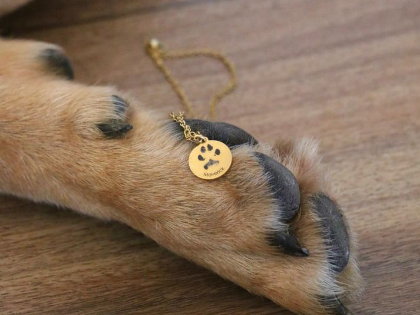 Paw print necklace