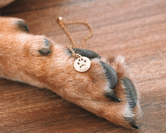 Paw print necklace