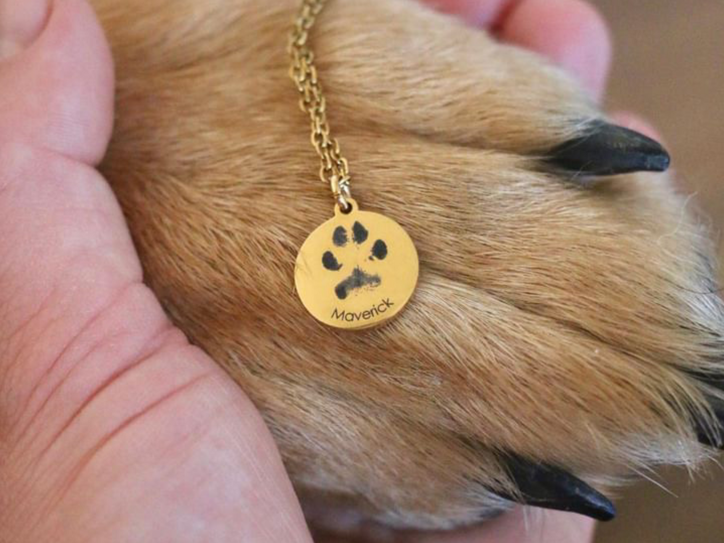 Paw print necklace